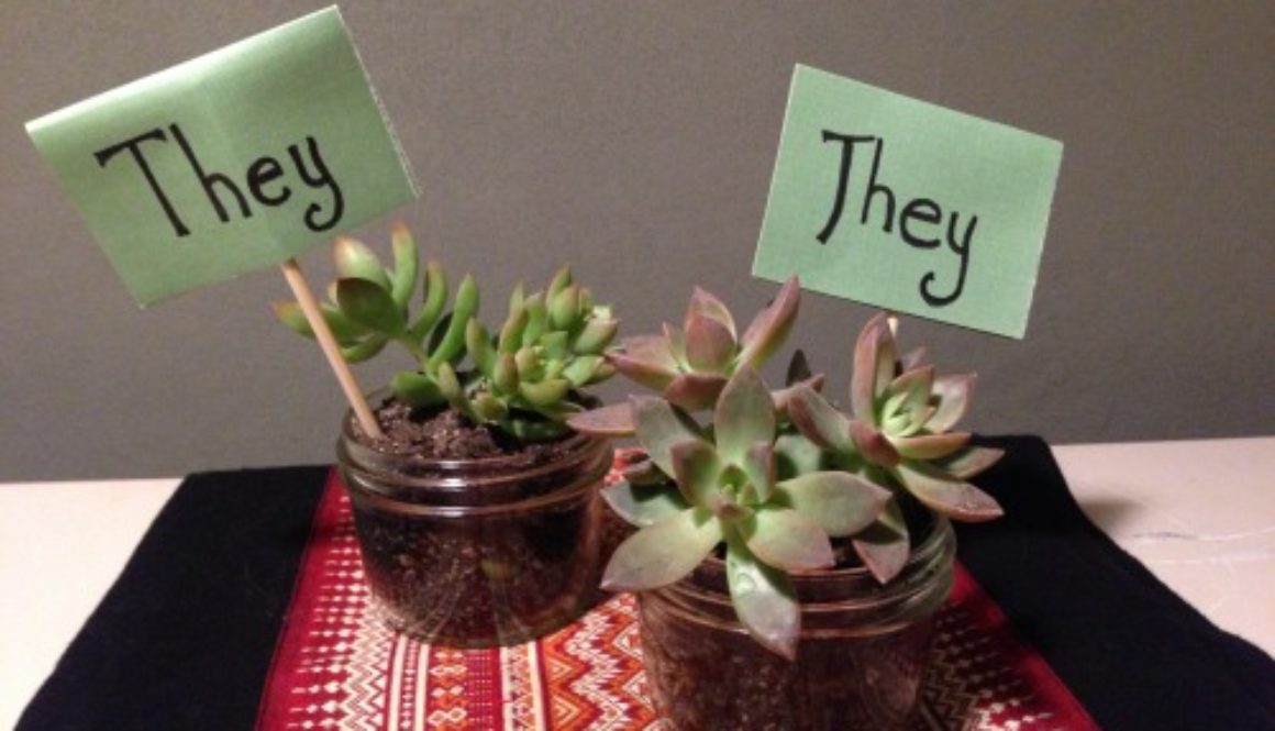 they them succulents