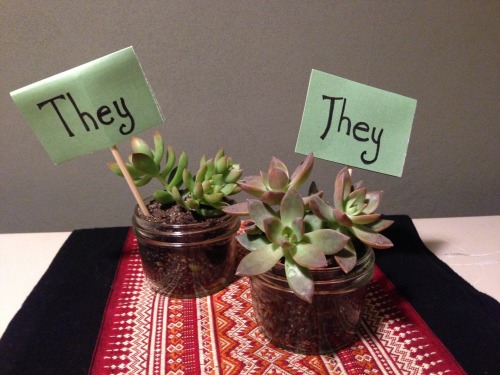 they them succulents